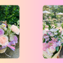 Workshop: Flower Arrangement with Fiona Huang