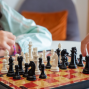 Activity: Chess Club with Grandmaster Exhibition