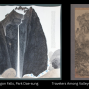 Presentation: Asian Paintings: Worlds of Creativity