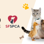 Activity: Therapy Pets at the Library