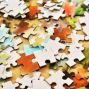 Social: Puzzle Swap