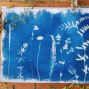 Workshop: Cyanotypes