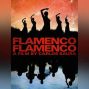 Film: Flamenco Flamenco