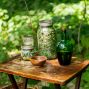 Workshop: Nurturing Your Body—Natural Strategies for Adult Health