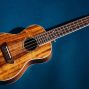 Workshop: Introduction to Ukulele