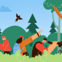 Activity: Birdwatching in the Portola