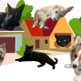 Social: Walking Pet Tour