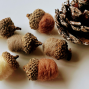 Workshop: Needle Felted Acorns