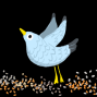 Workshop: Birds in Nature with Pavitra Eshwar