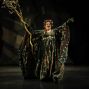 Social: From Street to Stage with Beaver Bauer