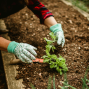 Workshop: From Garden to Green Bin — Climate Action at Home
