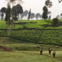Film: Kikuyu Land